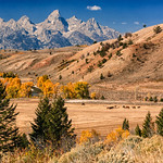 Tetons horse farm - Wyoming