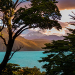 Trough the trees of Patagonia