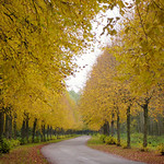 road into autumn