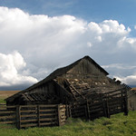 Tumble down barn