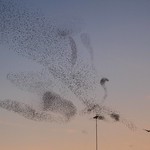 Nuage en mouvement ... ( Moving cloud)