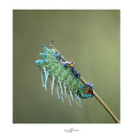 ━═★[̲̅̅H̲̅][̲̅̅A̲̅][̲̅̅P̲̅][̲̅̅P̲̅][̲̅̅Y̲̅] [̲̅̅B̲̅][̲̅̅I̲̅][̲̅̅R̲̅][̲̅̅T̲̅][̲̅̅H̲̅][̲̅̅D̲̅][̲̅̅A̲̅][̲̅̅Y̲̅]★═━