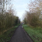 Tracing the MSWJR Line