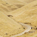 Lane through the Valley