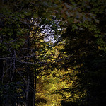 Come into the Light II_01