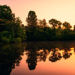 Pondering and Reflecting on the Morning