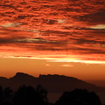 Ciel pommel&eacute; en orange