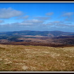 " On the Rising Ground "