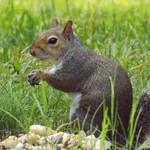 This is Gonna Be A Good Day!