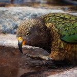 Brrr .... the water is cold !