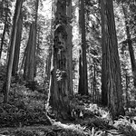 The scale of human insignificance