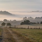 *Morning magic in the volcanic Eifel II*