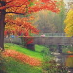 A good place for walking.