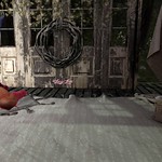 Pic-nic au clair de lune &hearts;