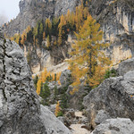 Italy / South Tyrol - Latemar Labyrinth