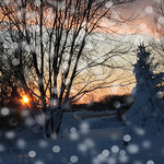 WinterSunset