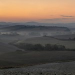 *Golden morning in the fields of the Crete Senesi*