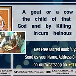 MeatEaters Are Killer