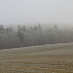 Winterlicher Spaziergang im Nebel 1 - Winter walk in the fog 1