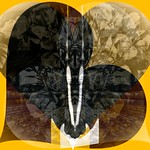 In Loving Remembrance of all Those Who Have Died to Date With the Coronavirus