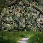 Looking forward to eventually hiking again.