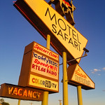 motel safari