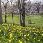 The Victory Bell - 50th Anniversary