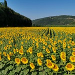 ... without words...