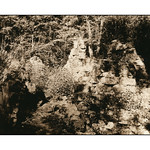 Welcome to the Jungle I