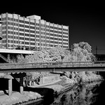 University of Houston, Downtown campus on the Buffalo Bayou (infrared)