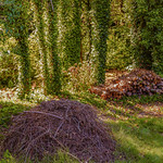 LES JARDINS DU MONDE, ARLANC !