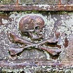 ...and unto dust thou shall return