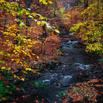 Colour Parade - Farben Parade
