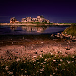 Never Ending Lock Down - Brittany 2020