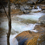 A Tribute to Earth Day