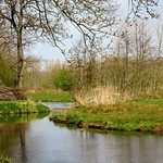 Rivier de Dommel bij Sint Michiels Gestel
