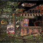 After the Circus leaves town