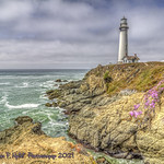 Pigeon Point Perfection