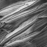 B Alanine + Ascorbic acid