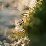 Same time, same place