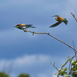 Kampf gegen den Sturm