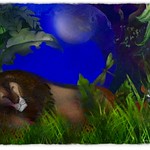 The Lion Sleeps Tonight