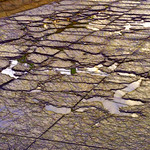 "El rumor atareado de la lluvia" / "The busy murmur of the rain..."