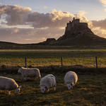 Lindisfarne Castle and guardians, Holy Island, Northumberland, UK