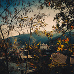 Pedoulas - November 2021 (5)