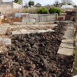 the winter digging... almost done... for the potatoes... explore 10 Feb 2022