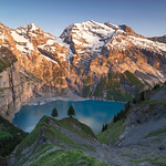 Trees - Oeschinensee