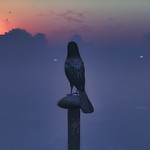 Visions of Frogmore: A Series 3/5