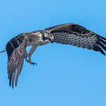 Approaching Landing Spot