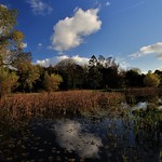Knockdow House & Gardens, Argyll & Bute, Scotland.